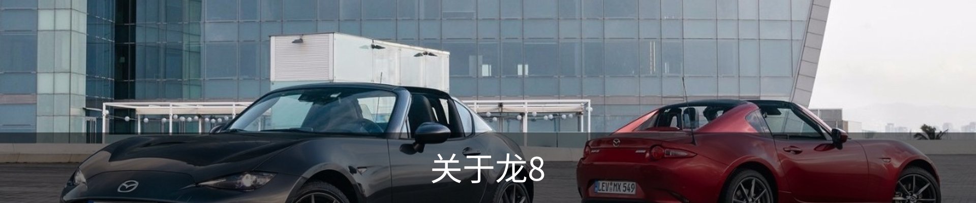 关于龙8