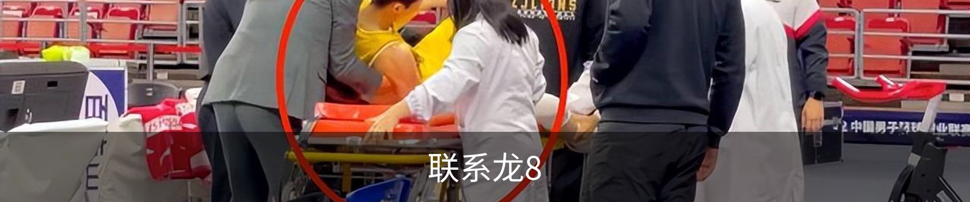 联系龙8